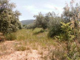 Finca rústica  C-3210. Promoción de terrenos en venta en pre. cañada de ballesteros, en