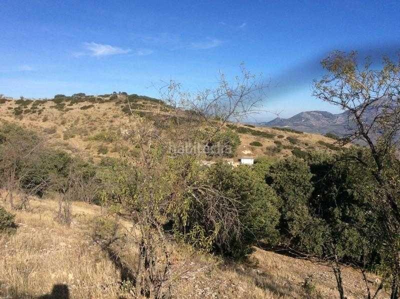 Foto 0c7a4865-caf8-44db-bc69-caa0bc38a06d. Terreno residencial finca rústica en venta en castillo de locubin (jaén) en Castillo de Locubín