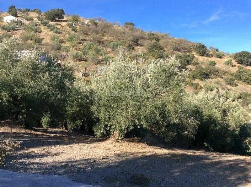 Foto 11ca23ee-fe30-4fa3-be55-9900c46a4c1e. Terreno residencial finca rústica en venta en castillo de locubin (jaén) en Castillo de Locubín