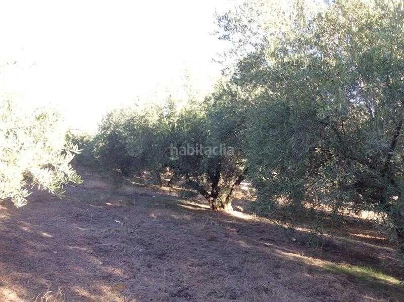 Foto 181f140f-b736-4e24-b0bf-b43ca1eb3d75. Terreno residencial finca rústica en venta en castillo de locubin (jaén) en Castillo de Locubín