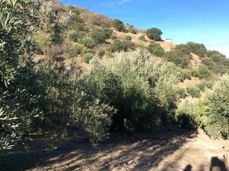 Foto 358d120b-8de4-41f9-83c5-0f30df13cb0d. Terreno residencial finca rústica en venta en castillo de locubin (jaén) en Castillo de Locubín
