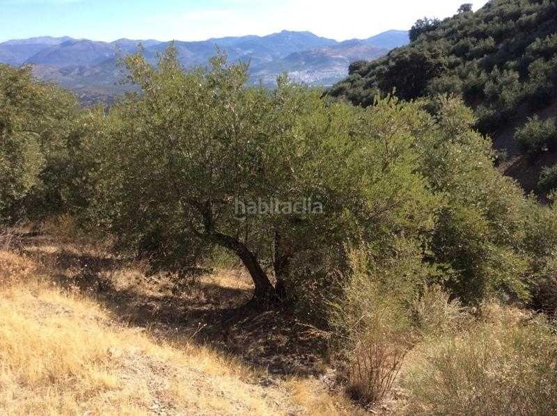 Foto 52eb98ae-4c20-49b1-9094-a45914921a96. Terreno residencial finca rústica en venta en castillo de locubin (jaén) en Castillo de Locubín