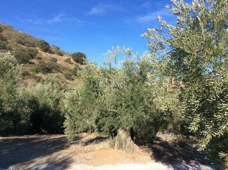 Foto 64e8588f-83a3-49d9-bed1-c0fff564bd36. Terreno residencial finca rústica en venta en castillo de locubin (jaén) en Castillo de Locubín
