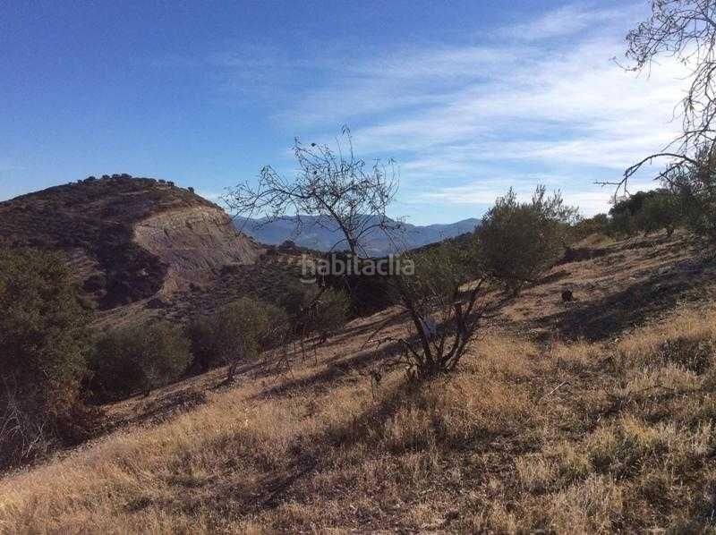 Foto 6fd9016d-9f20-4af5-9087-69379d0a8745. Terreno residencial finca rústica en venta en castillo de locubin (jaén) en Castillo de Locubín