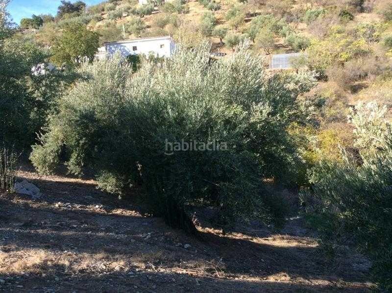 Foto 94c1c8e0-ab2c-404e-9fe2-863a3b5dab54. Terreno residencial finca rústica en venta en castillo de locubin (jaén) en Castillo de Locubín