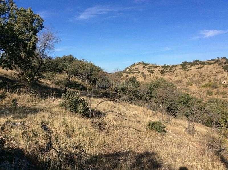 Foto a2e895fb-d735-4bb2-a573-350b8f074095. Terreno residencial finca rústica en venta en castillo de locubin (jaén) en Castillo de Locubín