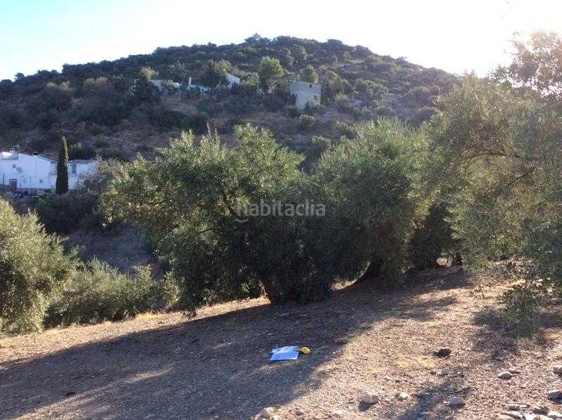 Foto f582dbc6-7b5b-4bc8-a50e-5658bd325082. Terreno residencial finca rústica en venta en castillo de locubin (jaén) en Castillo de Locubín