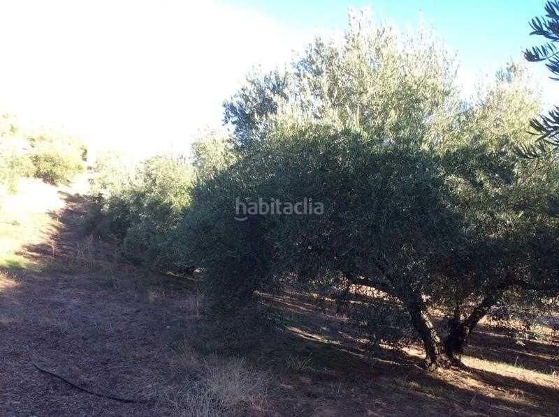 Foto fbe84fbb-702a-49a1-8c36-4a1385c4c2b4. Terreno residencial finca rústica en venta en castillo de locubin (jaén) en Castillo de Locubín