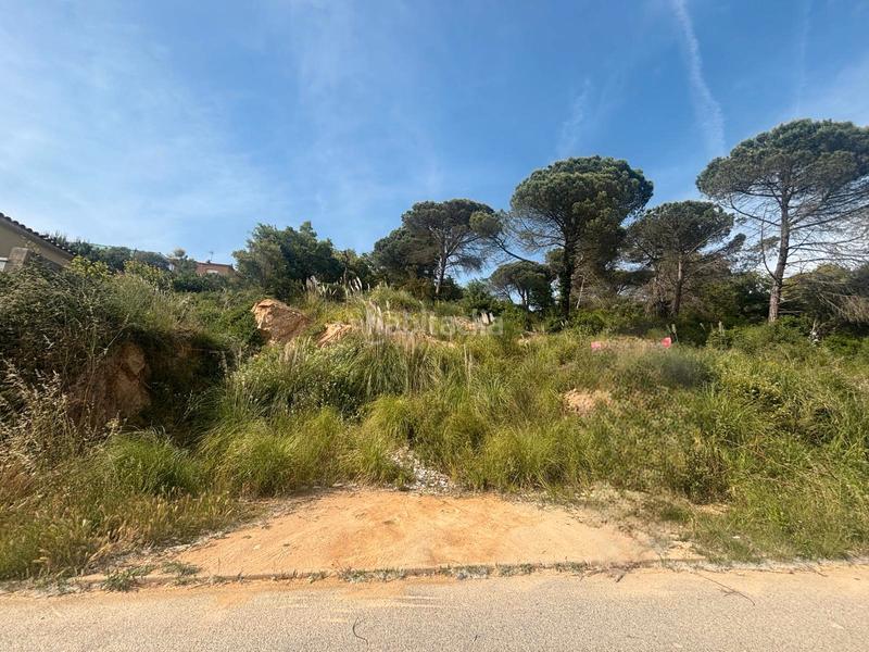 Foto 81f9bde1-82a5-4ad2-9a32-0d61821eaaac. Casa a Lloret Residencial - Montlloret Lloret de Mar