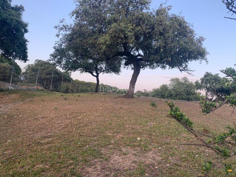 Foto 0aa2fc6a-8ad1-4804-a325-801f0a30d7c0. Terreny residencial a Cerro Muriano Córdoba