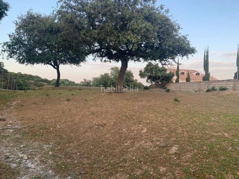 Foto a6559893-ec9c-47e0-8980-6ec8006b62a0. Terreny residencial a Cerro Muriano Córdoba