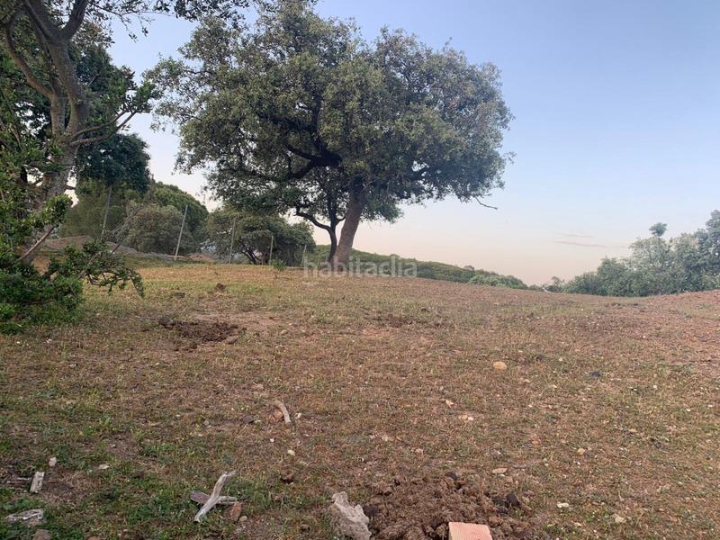 Foto edce8b1c-8430-46d2-847c-dfd1c5882987. Terreny residencial a Cerro Muriano Córdoba