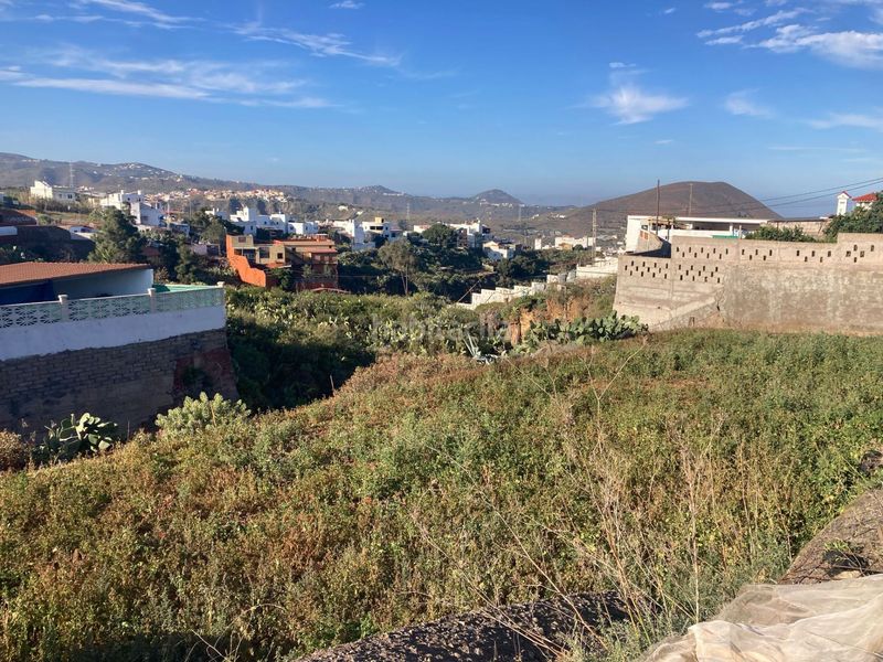 Foto a499e5a0-f224-4702-95aa-3cd18c7db376. Finca rústica a los picos 100 a Valle de los Nueve - El Ejido - Medianías Telde