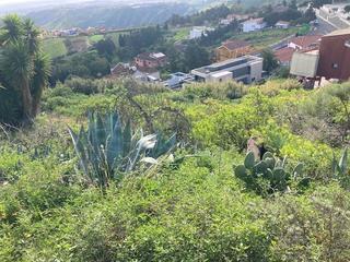 Terrain résidentiel  De la concepción. Solar urbano en zona residencial de santa brígida