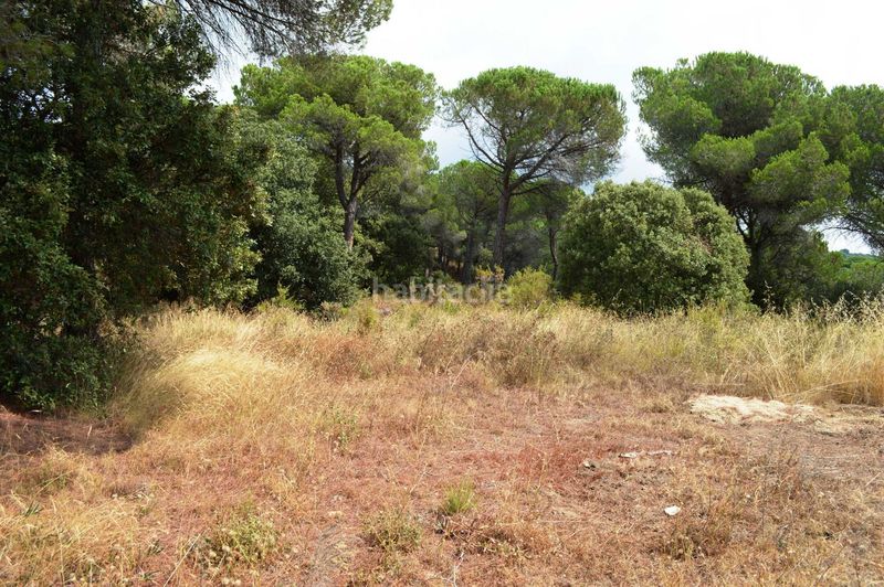 Foto 2229fd0a-5208-4cc5-a52d-8286d9cb114f. House in camí de can cabot de munt 2 in El Mirador-La Cornisa Sant Andreu de Llavaneres