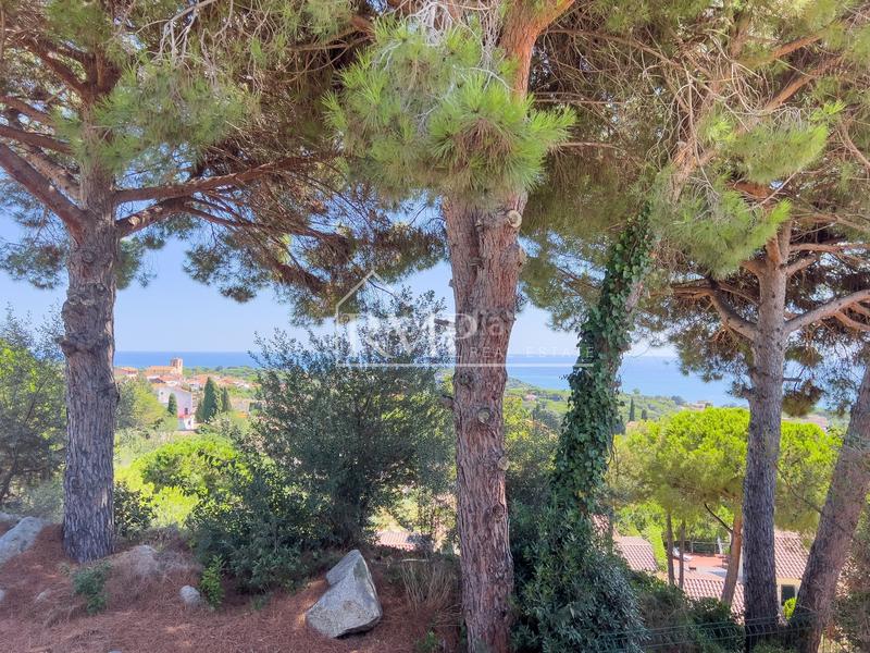 Foto 23774762-d5f8-4a24-b1ff-073f1a287d43. Maison dans Les Bilbenyes 10 dans Les Bilbenyes Sant Vicenç de Montalt