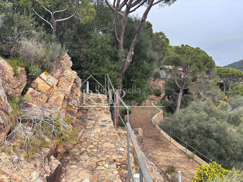 Foto a22da281-2b29-4061-bea7-6d7a82e9b32e. Casa a del roger s/n a Puntabrava-Port Salvi Sant Feliu de Guíxols