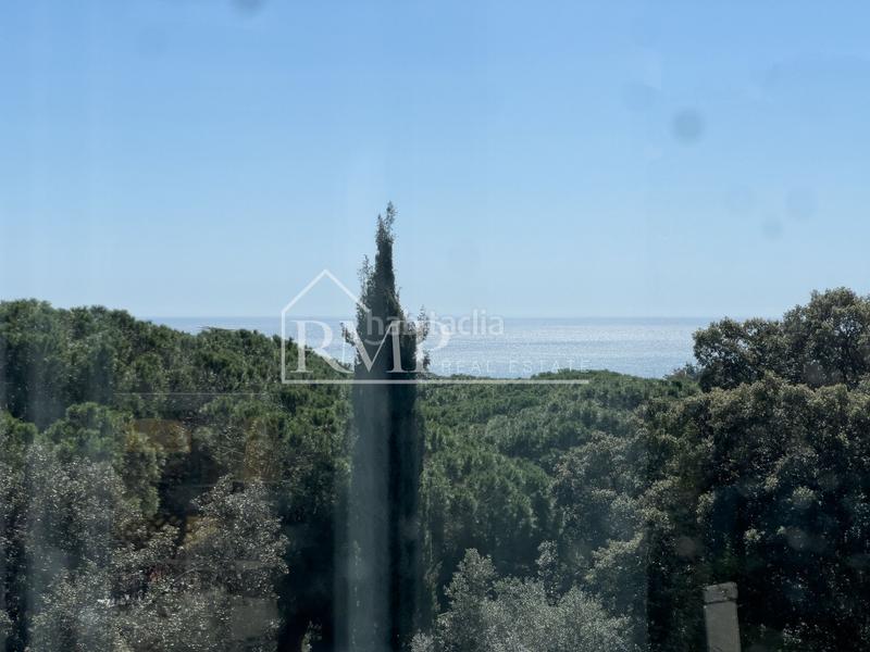 Foto 1fac8bd0-36a2-43ef-ae46-d19e0e39096b. Maison dans Rocaferrera dans Rocaferrera Sant Andreu de Llavaneres