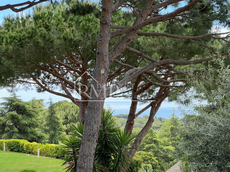 Foto e99e6b2d-a3e2-4bf7-94b0-d8592b3f164b. Maison dans bignonies s/n dans Supermaresme Sant Vicenç de Montalt