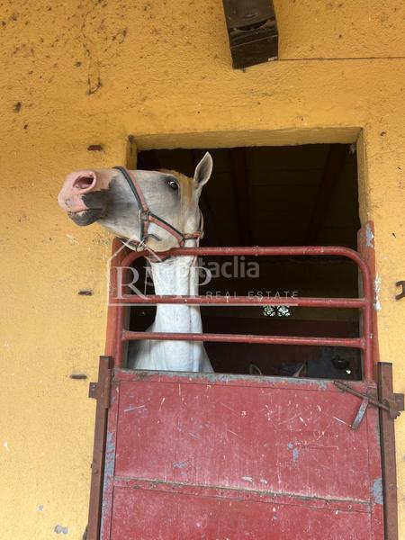 Foto 02c49605-e12e-4b9a-96da-665a609974da. Country house in Fogars de la Selva
