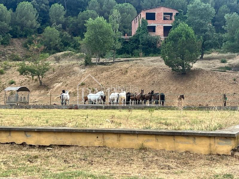 Foto 862db811-db54-4762-b18f-7c4c4fdf58d2. Country house in Fogars de la Selva