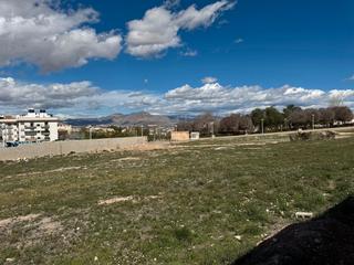 Terrain rsidentiel en Calle vicente cervera 69. Parcela en aspe para edificar