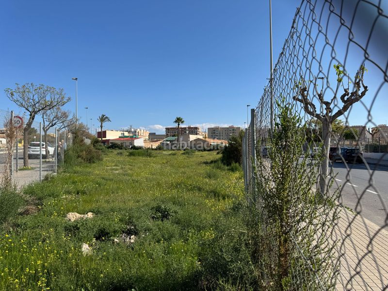 Foto 38ff4754-1a21-487b-a8fb-c21362df7448. Terreny residencial a Carrús Oeste Elche / Elx