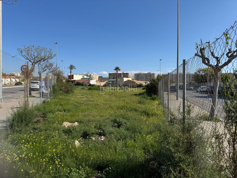 Foto 54038ac5-914e-4730-9017-0532124687ab. Terreny residencial a Carrús Oeste Elche / Elx