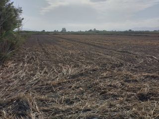 Propriété à Partida daimes 150. Gran terreno rústico de 35.000 m² en elche – ideal para cultivo