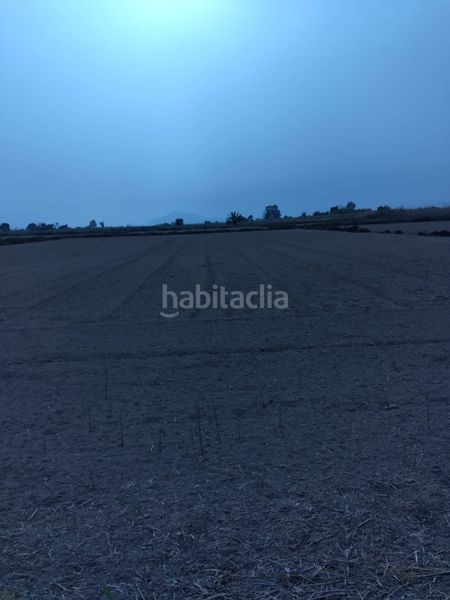 Foto c5a41a11-dd11-4cd4-8f36-c37a0a8cb049. Finca rústica a partida daimes 150 a La Foia - Daimés - Asprella Elche / Elx