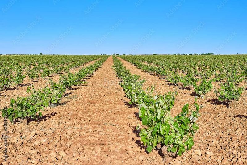 Foto 4fe117f2-8e21-449a-bbf8-970422a87fa0. Finca rústica a Turleque