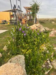 Finca rústica a Villaminaya