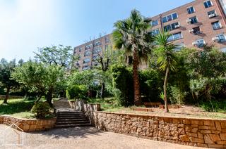 Planta baixa  Carrer de lluís sagnier