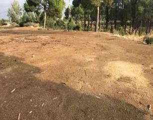 Finca rústica a Carrer b cerdera alta 1. Venta de finca rústica