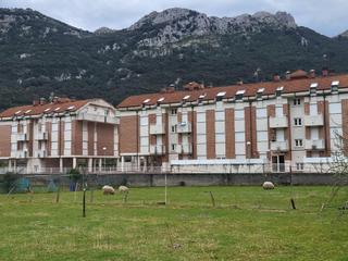 Pis  Barrio orion. Venta vivienda reciente construccin 2 hab en orion