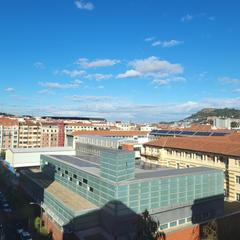 Pis  Alameda doctor areilza. Venta vivienda doctor areilza  jesuitas 3 habitaciones