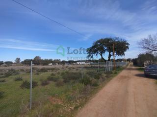 Terreno residenziale in Pedanías de Badajoz. Oportunidad!!! parcela de 10.000 m en el coi ctra. caceres