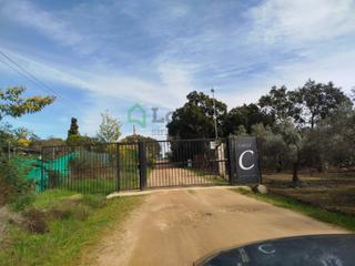 Terreny residencial  N/a. Parcela de 10.000 m en el coi ctra. caceres