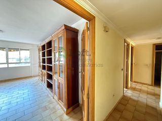 Pis a Santa Marina. Oportunidad amplia vivienda en avenida santa marina