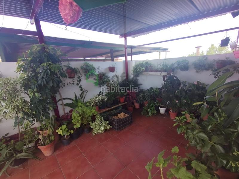 Foto 623bb942-42c1-4272-9429-867501119b98. Piso  con terraza en san roque en San Roque - Ronda Norte Badajoz