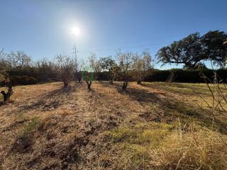 Terreny residencial a Dehesilla de Calamón - Campomanes. Parcela proindiviso en carretera de valverde