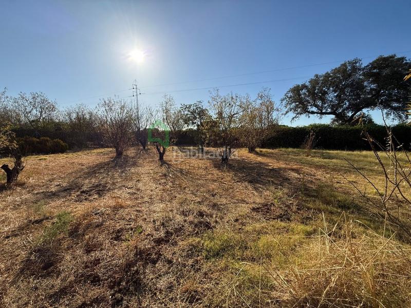 Foto b169645b-ddcd-47b9-a694-8977fe3085b3. Terreny residencial a Dehesilla de Calamón - Campomanes Badajoz