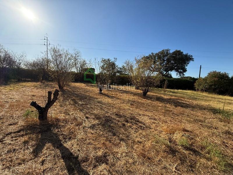 Foto dad8017b-acf1-4f50-a3fe-a21111f7f165. Terreny residencial a Dehesilla de Calamón - Campomanes Badajoz