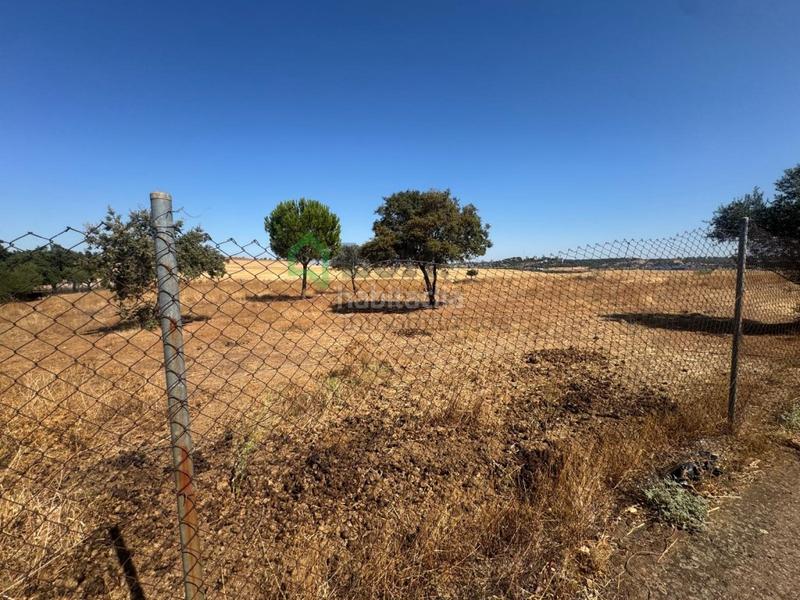 Foto 4af3ff69-c7e9-4433-9bf2-7fe21821a098. Terreny residencial a Dehesilla de Calamón - Campomanes Badajoz