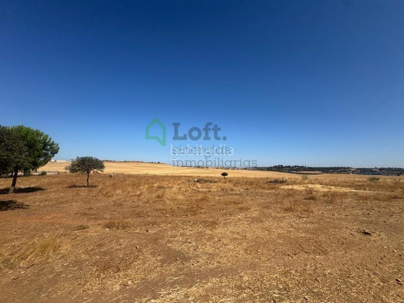 Foto 62164cfc-3b59-46a5-9dba-2ce879725424. Terreny residencial a Dehesilla de Calamón - Campomanes Badajoz