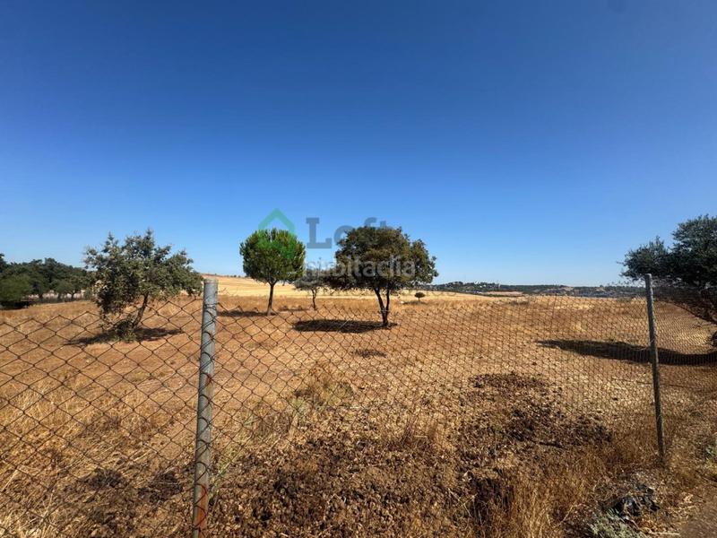 Foto 73beb3f2-0cf2-43ac-9860-b2e8a06fb38c. Terreny residencial a Dehesilla de Calamón - Campomanes Badajoz