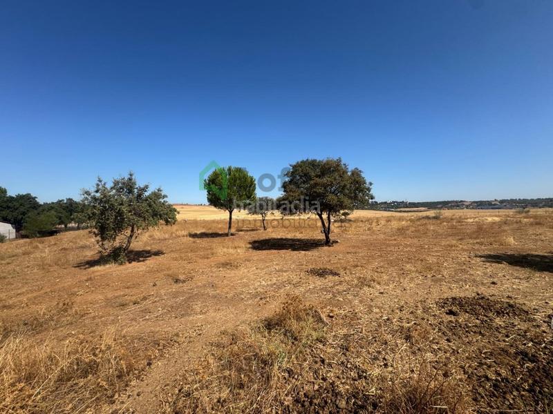 Foto a05a3f39-abe9-4224-b429-fbb5963d95b3. Terreny residencial a Dehesilla de Calamón - Campomanes Badajoz