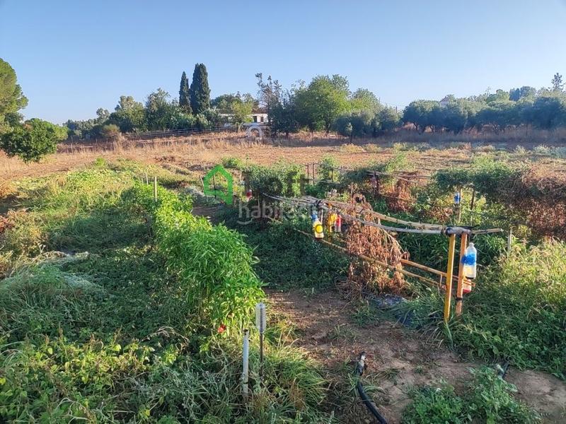 Foto 4bbecc60-4737-4943-b9fb-d702375ae7d1. Finca rústica a pedanías de Badajoz Badajoz