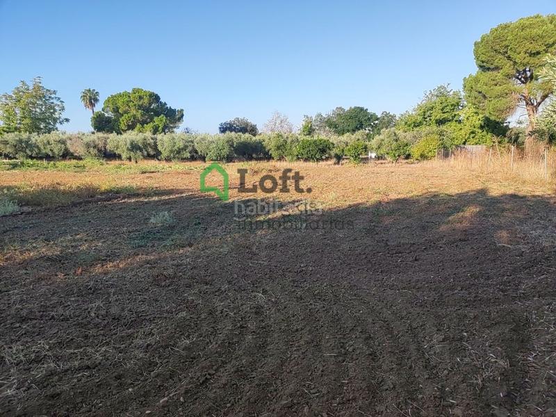 Foto 62447e37-dd19-4bbe-b2dd-af0cde226d8b. Finca rústica a pedanías de Badajoz Badajoz