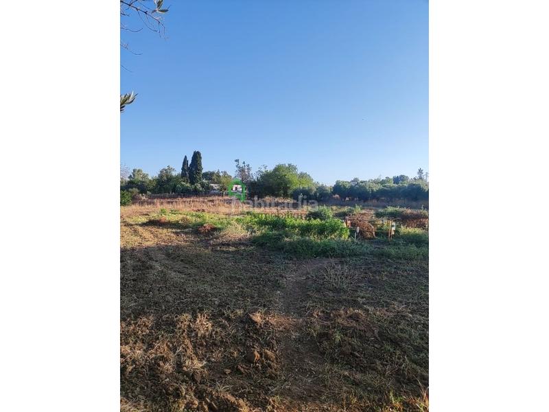 Foto b0b7438e-79db-4656-9ad2-d1612c6541af. Finca rústica a pedanías de Badajoz Badajoz